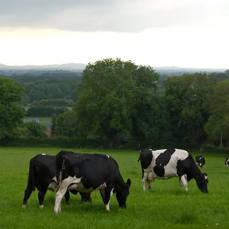 Bed & Breakfast Ballindrum Farm