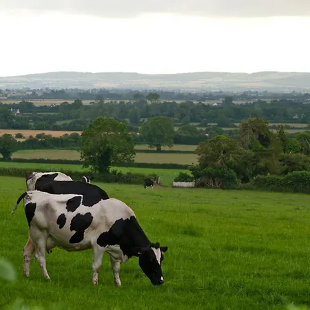 Bed & Breakfast Ballindrum Farm Athy