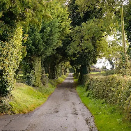 Ballindrum Farm Oda ve Kahvaltı Athy