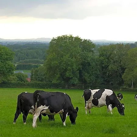 Bed & Breakfast Ballindrum Farm