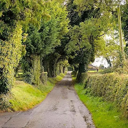 Bed & Breakfast Ballindrum Farm 4*