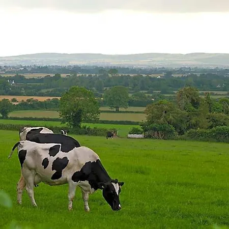Ballindrum Farm Bed & Breakfast Athy