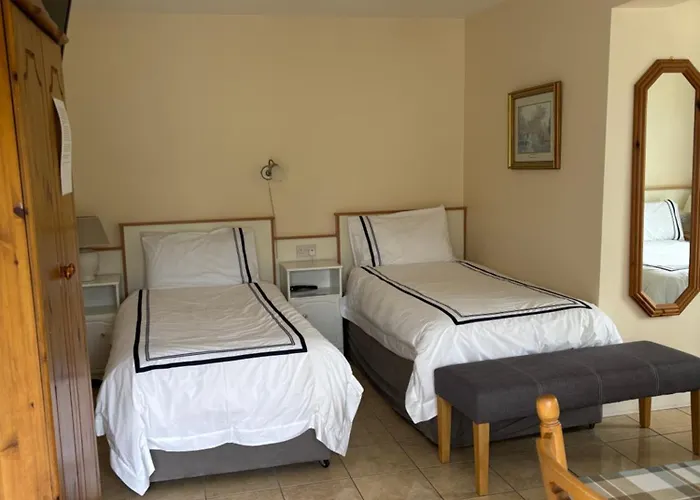 Oda ve Kahvaltı Ballindrum Farm Athy