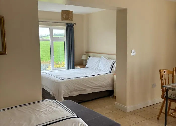 Ballindrum Farm Oda ve Kahvaltı 4*