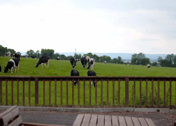 Ballindrum Farm