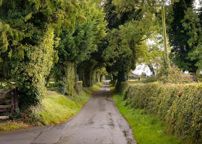 Ballindrum Farm Oda ve Kahvaltı Athy